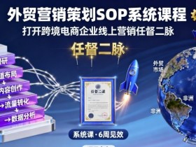 外贸营销策划SOP系统课程，打开跨境电商企业线上营销任督二脉