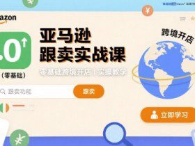 亚马逊跟卖实战课，零基础跨境开店实操教学