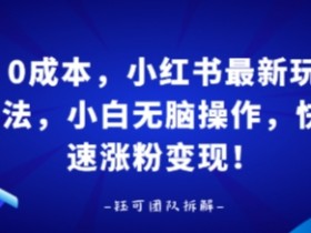 0成本，小红书最新玩法，小白无脑操作，快速涨粉变现
