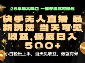 变现最快的项目，当天出收益，一部手机，保底日入5张【揭秘】