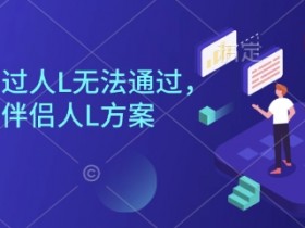 直播伴侣过人L无法通过，电脑直播伴侣人L方案，自测