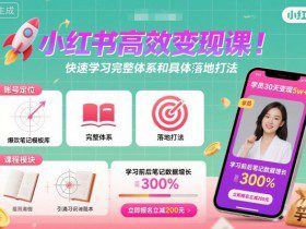 小红书高效变现课，快速学习小红书完整体系和具体落地打法