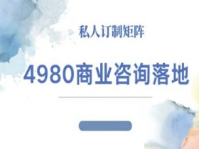 4980商业咨询师落地课程-ip运营高客单教程
