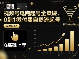 视频号电商起号全案课，0到1微付费自然流起号