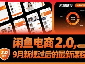 闲鱼电商2.0，9月新规过后的最新课程
