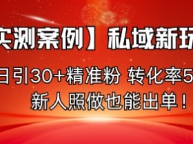 【实测案例】私域新玩法，日引30+精准粉，转化率50%，新人照做也能出单！