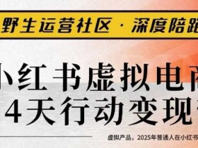小红书虚拟电商14天变现训练营3.0，​虚拟产品，2025年普通人在小红书最后的搞钱机会