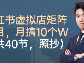 小红书虚拟店矩阵项目，照抄照做，月搞1W+（共40节）