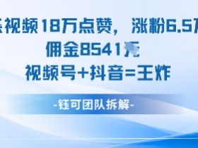 一条视频18W点赞，涨粉6.5W粉佣金8541米，视频号+抖音=王炸