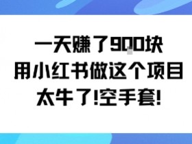 一天挣了9张用小红书做这个项目太牛了，空手套