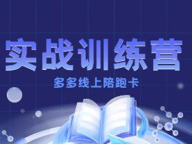 多多实战训练营，从0到1打造一个真正賺钱的店铺