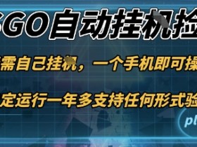 游戏自动挂G捡漏，一个手机即可操作，当天可操作见到结果，新手小白轻松月入1W+【揭秘】