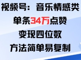 视频号分成计划新玩法：音乐情感类单条34W点赞，变现四位数，方法简单易复制