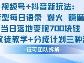 视频号加抖音新玩法：爆火新型每日语录，收徒教学加分成计划，三种变现玩法，当日变现7张