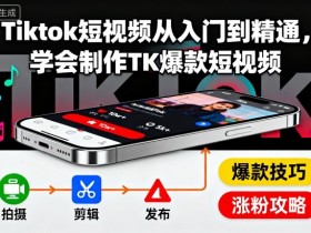 Tiktok短视频从入门到精通，学会制作TK爆款短视频