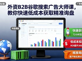 外资B2B谷歌搜索广告大师课，教你快速低成本获取精准询盘