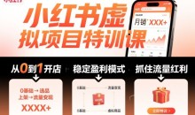 陆明明·小红书虚拟项目特训课，帮你从0到1打造稳定盈利的店铺，抓住流量红利（更新9月）