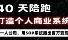 40天商业系统陪跑一人公司，用SOP系统跑出百W变现