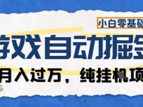 游戏全自动掘金纯挂G项目，月入过1W，小白零基础可操作长期稳定【揭秘】