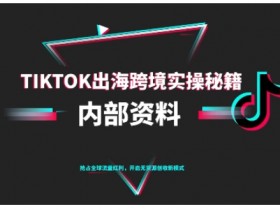 TikTok跨境电商0-1搭建运营，TK出海跨境实操秘籍（10月更新）