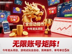 无限账号矩阵！今年龙头项目，游戏试玩全自动，简单操作，单号单日5张【揭秘】
