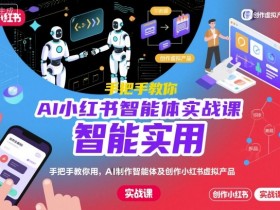 AI小红书智能体实战课，手把手教你用AI制作智能体及创作小红书虚拟产品，提效+内容商业化