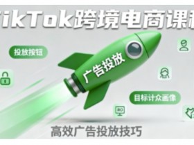 TikTok跨境电商全流程实操课，助力从业者掌握TikTok跨境电商运营核心技能，高效开展业务