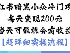 小红书暗黑小众冷门项目每天变现2张当天可能就会有收益