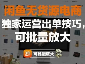闲鱼无货源电商，独家运营出单技巧，可批量放大