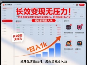 长效变现无压力！拼多多虚拟类目矩阵化实操技巧，轻松实现日入1k【揭秘】