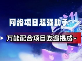 网络项目万能辅助工具_万能配合拉新项目吃遍提成
