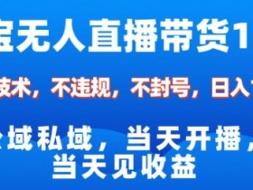 淘宝无人直播12.0，公域私域技术，不封号，不违规布局双十一流量风口，日入1k（独家技术）【揭秘】