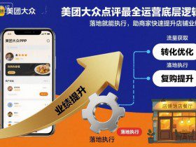 美团大众点评最全运营底层逻辑，落地就能执行，助商家快速提升店铺业绩