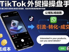 TikTok外贸操盘手，打通公域引流到私域成交全链路，低成本获取高质量海外询盘