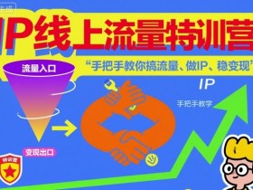 IP线上流量特训营，手把手教你搞流量、做IP、稳变现