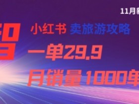 小红书卖旅游攻略，一单29.9，每个月卖出1000单