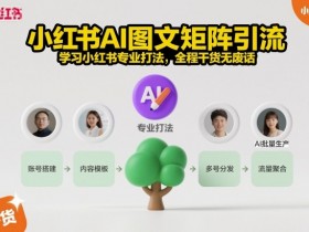 小红书AI图文矩阵引流，学习小红书专业打法，全程干货无废话