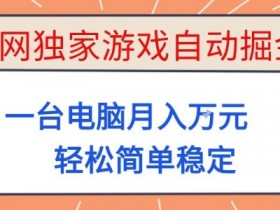 全网独家游戏自动掘金，一台电脑月入1W+，轻松简单稳定，适合新手小白【揭秘】