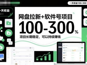 网盘拉新+软件号项目，一天收益100-300，项目长期稳定，可以持续賺钱