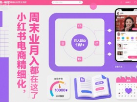 小红书电商精细化运营全流程，周末副业月入1W+，全套方法都在这了