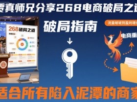 贾真师兄分享268电商破局之道-适合所有陷入泥潭的商家