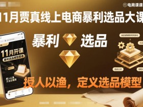 11月贾真线上电商暴利选品大课，授人以渔，定义选品模型