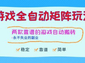两款靠谱的游戏全自动搬砖项目，日入1k+，稳定可矩阵，永不失业的副业【揭秘】