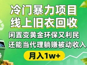 冷门暴力项目，线上旧衣回收，闲置变黄金环保又利民，还能当代理躺賺被动收入，变现+精准引流全流程