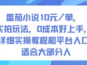 番茄小说10米每单，实拍玩法，0成本好上手，详细实操教程和平台入口适合大部分人