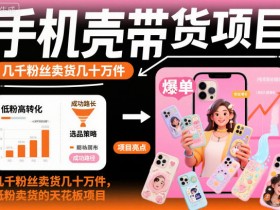 手机壳带货项目，几千粉丝卖货几十万件，短视频低粉卖货的天花板项目