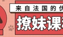 来自法国的优雅撩妹课程【完结】3.2G