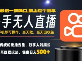 一部手机，当天出收益，轻松日入5张+，小白轻松上手，年前最后一个风口项目【揭秘】