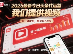 2025最新今日头条代运营，我们提供视频，你一键发布，单号月入1W【揭秘】