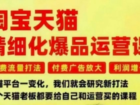 淘宝天猫精细化爆品运营课，免费流量打法-付费广告放大-利润增长-三大核心痛点，一次全部解决